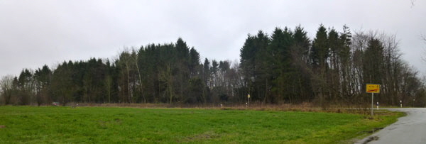Wald-Dollerup-0