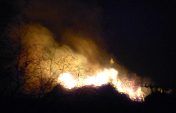 Laju-Feuer-2015-3